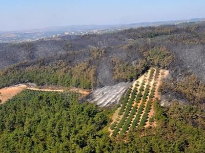 Bursa Valiliği’nden Açıklama Geldi: 1 Eylül'e Kadar Piknik Alanlarında Ateş Yakmak Yasak!