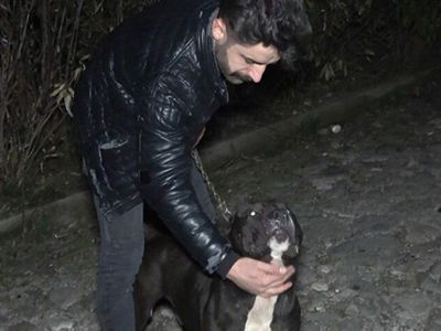 Bursa'da Tecavüz Girişiminde Bulunan Adamı 'Karlos Köpek' Yakaladı