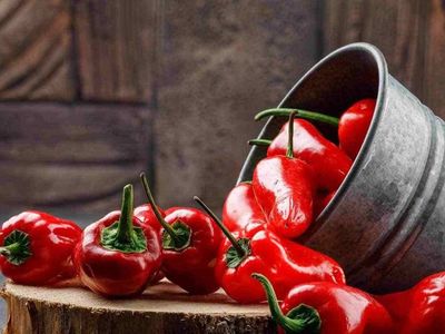 C vitamini portakalda değil onda var! Bir tane yemek günlük ihtiyacı karşılıyor