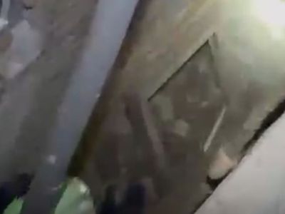 Burdur'da mahsur kalan kedinin akrobatik kaçışı herkesi şaşırttı