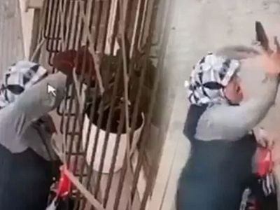 Bursa'da Camın Önündeki Çiçeği Çalan Hırsız Kameralara Yakalandı