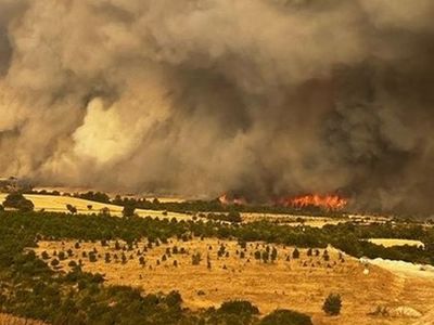 Çanakkale yangınında son durum: 4 bin 80 hektarlık alan etkilendi