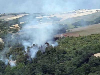 Çanakkale’de orman yangını: Ekipler müdahale ediyor