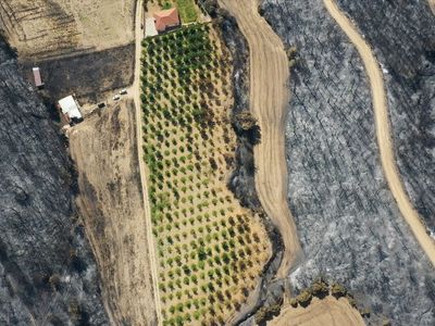 Çanakkale'de Yangınlardan Zarar Gören Tarım Arazileri
