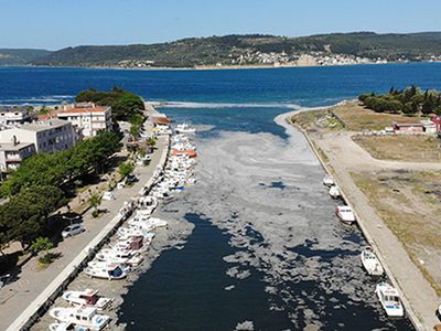 Çanakkale’deki Deniz Salyaları Vatandaşı Tedirgin Etti