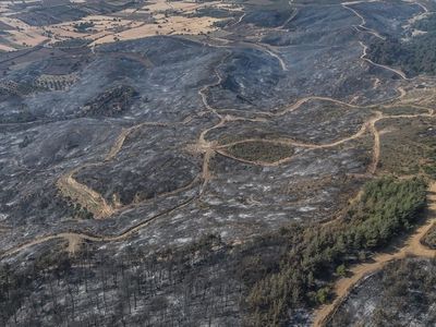 Çanakkale'deki Orman Yangını Havadan Görüntülendi