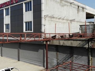 Çatısında Beklediği Tavukları İçin Üst Geçit Yaptı