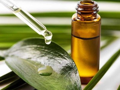 Çay ağacı yağı nedir? Çay ağacı yağı saça sürülür mü? Çay ağacı yağı bit için nasıl kullanılır, ne kadar süre kullanılır? Çay ağacı yağının saçta kullanımı ve faydaları