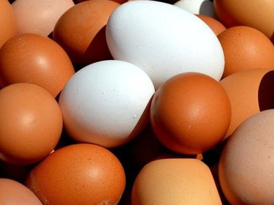 Çay ve etin ardından yumurta ve süte de rekor zam geldi! Vatandaş zam hızına yetişemiyor! Zamlı fiyatları görenler şok oldu