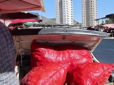 Kozan'da salçalık biber dönemi başlarken: Toros araçları biber taşıma merkezi oldu