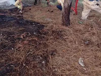 Yayladağı'nda orman yangınına hızlı müdahale: Kontrol altına alındı