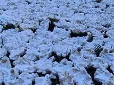 Geleneksel tarhana geleneği Kahramanmaraş'ta sürüyor
