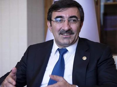 Cevdet Yılmaz kimdir, nereli? Cumhurbaşkanı Yardımcısı Cevdet Yılmaz kaç yaşında, önceki görevi neydi? Cevdet Yılmaz hayatı ve biyografisi