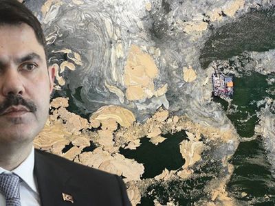 Çevre ve Şehircilik Bakanı Murat Kurum'dan Halka Müsilaj Seferberliği Çağrısı: Caddebostan Sahilinde Buluşalım