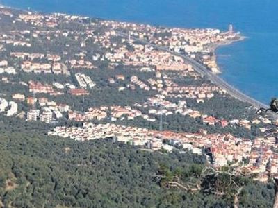CHP'li Belediye'den Doğa Katliamı: İhaleye Çıkarılan Zeytinlik AVM Olacak! 