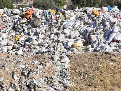 CHP'li Bornova Belediye’sinin Zeytin Ağaçları Yakınına Moloz Dökmesine İzmirliler Büyük Tepki Gösterdi