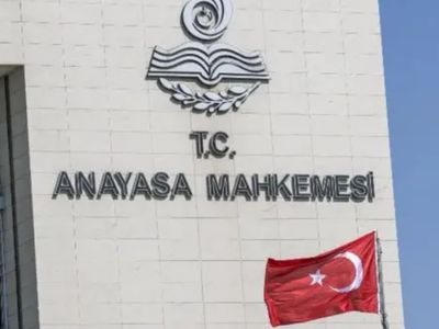 CHP Başvurdu: AYM Sahipsiz Hayvanlara İlişkin Düzenleme Kanununu İncelemeye Aldı!