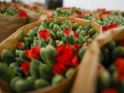 Çiçek Sektörü Salgına Rağmen Büyüme Oranlarını Aşarak Rekor Kırdı!