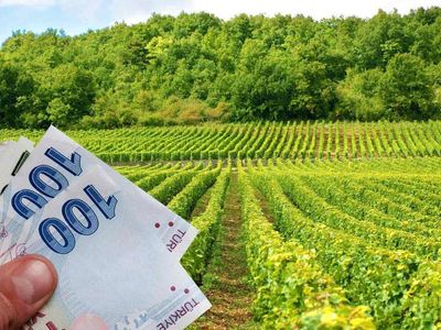 Çiftçilere müjde: 300 Bin lira faizsiz kredi imkânı!