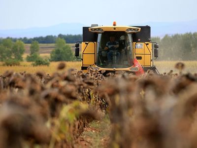 Çiftçileri rahatlatacak plan yolda, alım garantili üretim sistemi