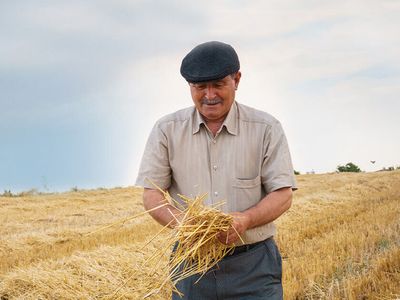 Çiftçiye Müjdeli Haber: Devletten Çiftçiye Büyük Destek Geliyor!