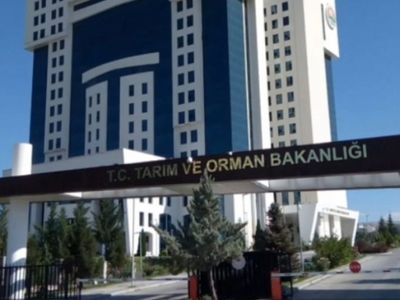 Çiğ Süt Destek Ödemeleri Başladı!