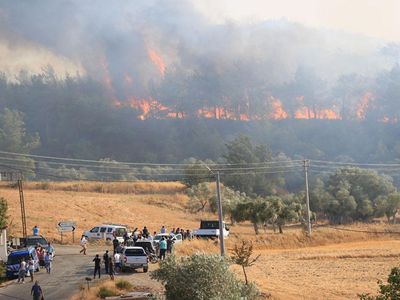 Ciğerlerimiz yanmaya devam ediyor: Bu kez Milas’ta orman yangını