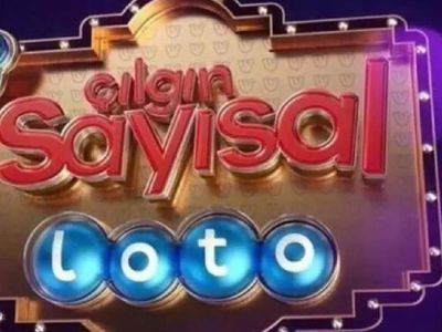Çılgın Sayısal Loto sonuç sorgulama ekranı 13 Nisan 2022 Çarşamba