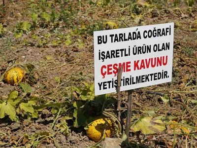 Coğrafi işaret nedir? Coğrafi işaret nasıl alınır? Coğrafi işaretli ürünler listesi