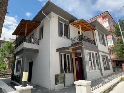 Çorumlu ressam ailesiyle birlikte sanat atölyesi oluşturdu