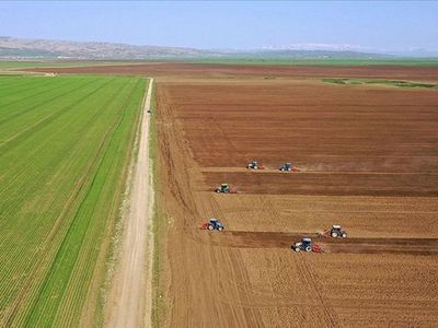 Cumhurbaşkanı Erdoğan duyurmuştu: Çiftçiler ve girişimciler destekten oldukça memnun!