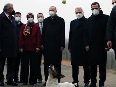 Cumhurbaşkanı Erdoğan, Ziyaret Ettiği Barınakta Oyun Oynadığı Köpeği Sevdi: 'Sahiplenebilirim'