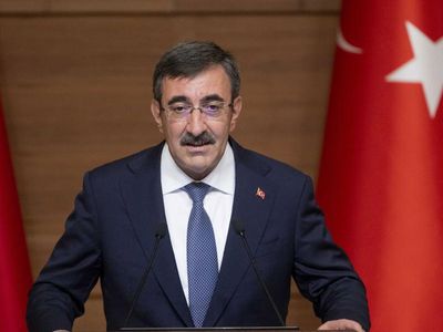 Cumhurbaşkanı Yardımcısı Cevdet Yılmaz'dan enflasyon açıklaması: Yerel seçimden sonra da OVP'ye devam edeceğiz