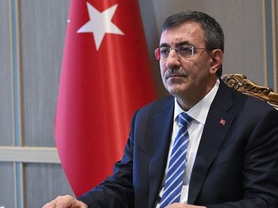 Cumhurbaşkanı Yardımcısı Yılmaz'dan Ukrayna'ya Destek