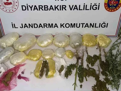 Diyarbakır'da büyük uyuşturucu baskını: 59 bin kök kenevir ele geçirildi