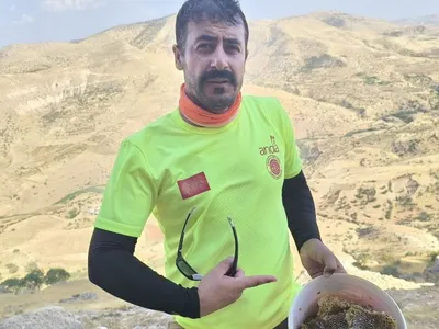 Yüksek kayalıklardan organik kaya balı hasadı: Gercüş’te bir hobi öyküsü