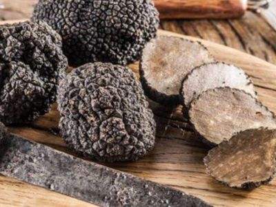 Dağda bayırda çıkıyor bulan köşeyi dönüyor! Kilosu 70 bin TL