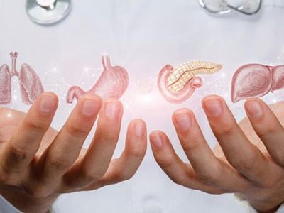 Dahiliye Hangi Hastalıklara Bakar?