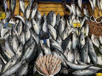 Kocaeli'de balık sezonu: Vatandaşları balık tüketmeye çağırdılar