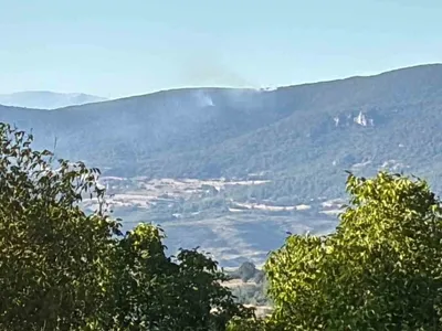 Tavşanlı'da yangın paniği: Hızlı müdahale ile kontrol altına alındı