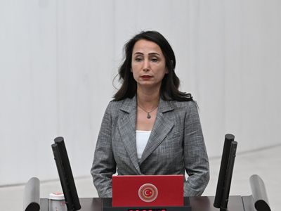 DEM Parti'den Erdoğan'a İmralı çağrısı