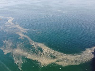Deniz Salyası Marmara’yı Tehdit Etmeye Devam Ediyor