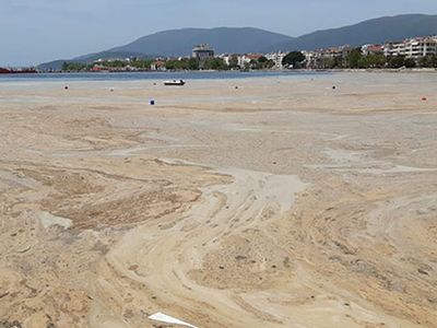 Deniz Salyası Sorunu Çözülecek! AK Parti’den Deniz Salyası İçin Özel Komisyon