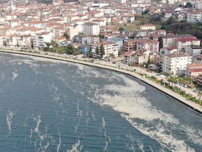 Deniz Salyasından Oluşan Tabaka İzmit Körfezi’ni Beyaza Bürüdü