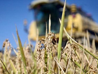 Depremzede çiftçiler için harekete geçiliyor: Bölgede hasat ve ekim desteği verilecek
