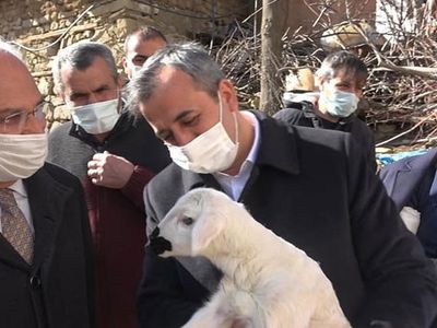 Devletten Köylüye Destek Çıktı: Proje Sayesinde ‘Sürü’ Sahibi Oluyorlar