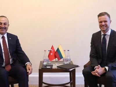 Dışişleri Bakanı Çavuşoğlu: Litvanya Türkiye'den Mülteciler Konusunda Yardım Alacak