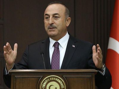 Dışişleri Bakanı Mevlüt Çavuşoğlu konuştu! ''Paris, saldırganları yargılanmalı''