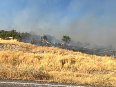 Diyarbakır'daki Kırsal Yangına Müdahale Devam Ediyor