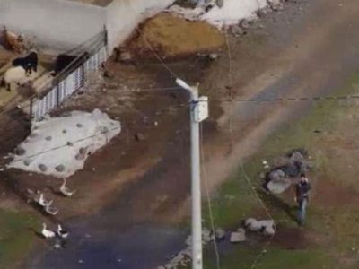 Diyarbakır'dan İlginç Görüntüler: Kaçak Elektrik Kullanımı Drone İle Görüntülendi!